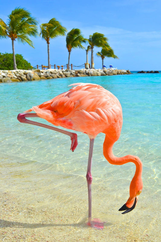 Curaçao - Bonaire